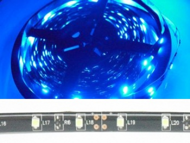 LED Stripes Blau SMD IP45 - Meterware dimmbar