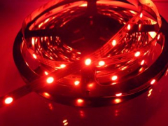 LED Stripes Rot SMD - Meterware dimmbar