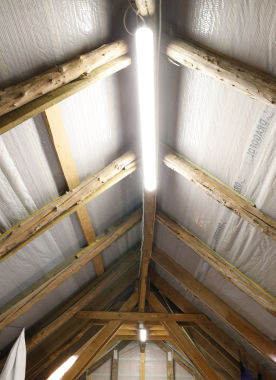 Wand-& Deckenleuchte HP-63 IP65, 150cm