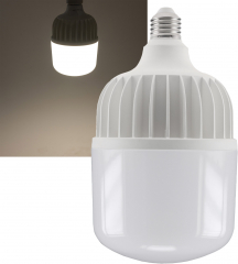 LED Jumbo Lampe E27 50W G500n
