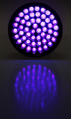 LED-Taschenlampe mit 51 UV LEDs